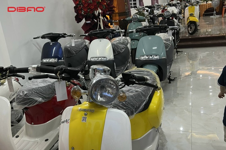 DIBAO khai trương showroom Cần Thơ